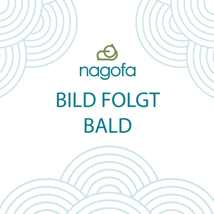 Gari Eingelegte Ingwer für Sushi - 1,5kg / Abtropfgewicht 1kg - Klasse A